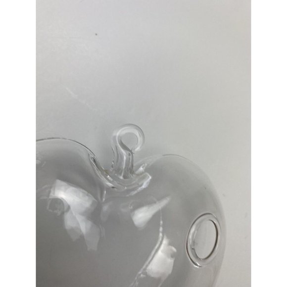 Cute Clear Glass Heart Window Decor, Hanging Plant Holder/ Water Beads - Picture 8 of 16